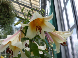 Foto: Dr. Peter Müller